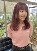 ピンクラベンダー