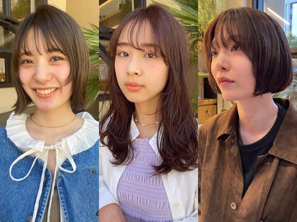 シェル(SHEL)の写真