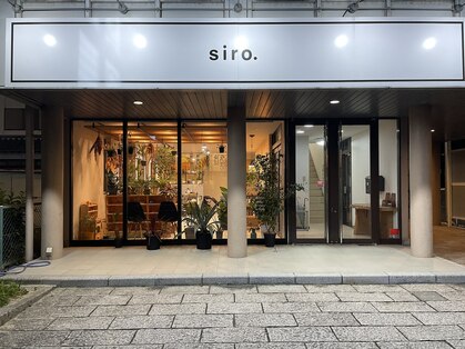 シロ(siro.)の写真
