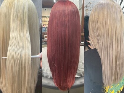 ブレア(Blair)の写真