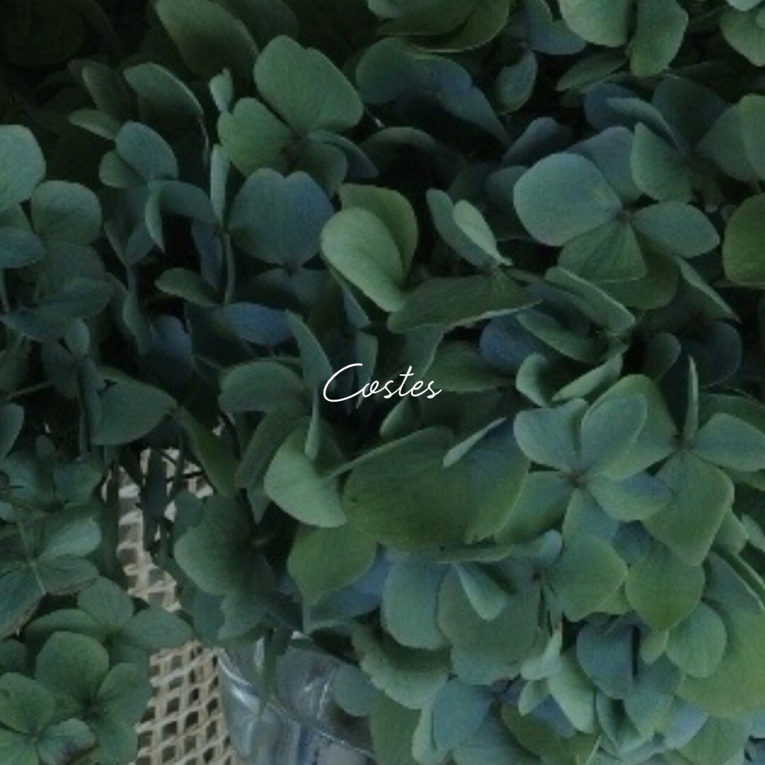 2回目以降はこちらのクーポンから組み合わせメニューをお選びください