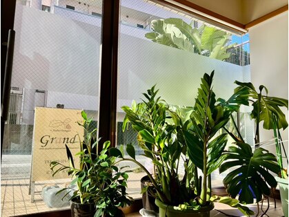 グランバイ アトリエドングリ(Grand × AtlierDonguri)の写真