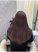 ピンクラベンダー
