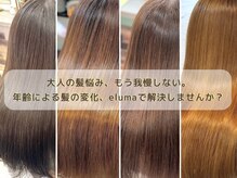 エルマ(eluma)