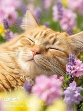 ラッキーヘアー箕面店(Lucky Hair)&nbsp;サカイ 