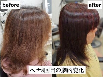 ローレル(Laurel)の写真