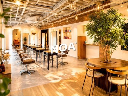 ノア(NOA)の写真