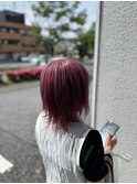 ラベンダーピンク