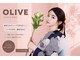 オリーブ(OLIVE)の写真