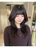 ハッシュカットレイヤーカット韓国ヘアワンホンヘアロングヘア