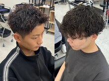 アリープパロット(ALEAP parrot)