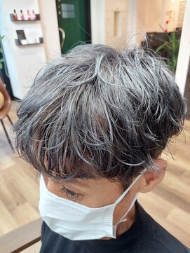 ラカレテラ(la carretera) 白髪ぼかし