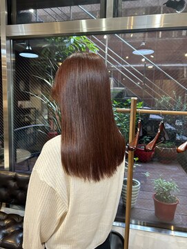 キュリオ(CURIO) レッドブラウン◎