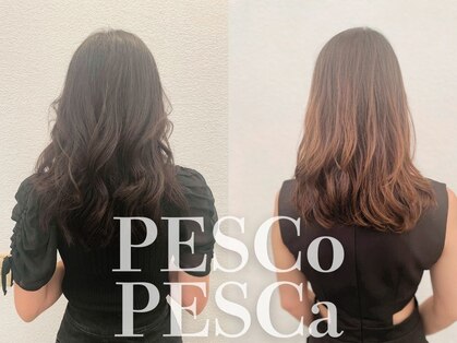 ペスコペスカ(PESCO PESCA)の写真