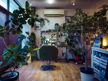 もじゃの小さな美容室の写真/一人一人のお客様を大切にするエイジングケア特化サロンです。周りを気にせず、あなただけのサロンタイムを