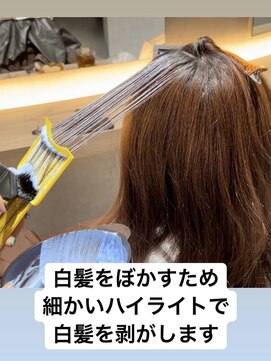 アース コアフュールボーテ 川中島店(EARTH coiffure beaute) 明るい白髪染め