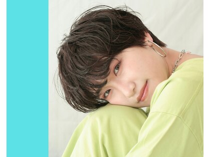 ヘアーオーパスの写真