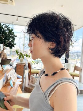 パーム スプリングス(Palm Springs) Hair by Palm Springs 1055