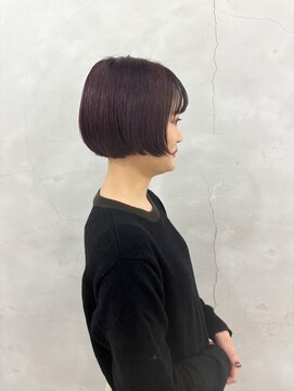 エンドリンク(endlink) パープルカラーミニホブ