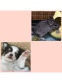 ヘアーナチュレ ラ フルール(HAIR NATURE La Fleur) 動物が好きで、小動物と犬を飼っています