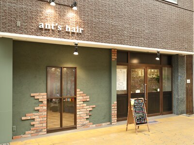 アンツヘアー(ants hair)