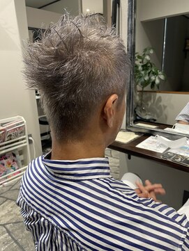 キャルティー(CALTY JAPAN) シルバーアッシュ