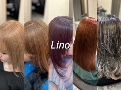 リノ(LINO)の写真