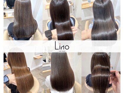 リノ(Lino)の写真