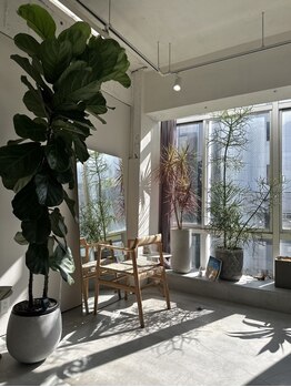 シロ(SHIRO)の写真/【瓦町駅徒歩3分】一人ひとりに合わせた親身なカウンセリングでなりたいStyleに。通えば通うほど綺麗に―