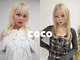 ココ 横浜(coco)の写真