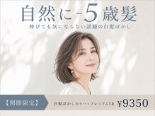 ヴィオラカラー(VIOLLA COLOR)