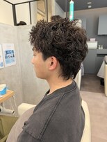 ウィスタリアフィールドプランシュ(WISTARIA FIELD-PLANCHES) スパイキーパーマ
