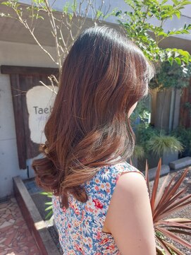 タエビスアリッサム(Taebis Alyssum) ロングレイヤー(イルミナカラー、北習志野)