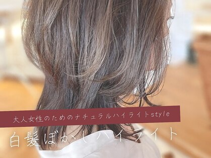 バランス ヴィヴィ(BALANCE vivi)の写真