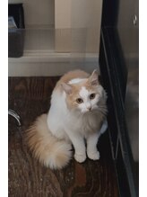 シエル Cielヘアーサロン&nbsp;SUN （サン）