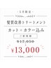 【5月限定】骨格似合わせカット+アディクシーカラー+髪質改善Tr/白髪活かしOK