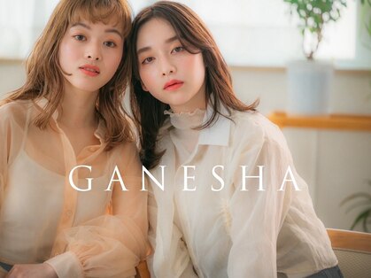 ティーノ(TINO by ganesha)の写真