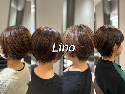 リノ(LINO)の写真
