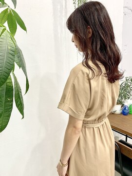 ベニス(VENICE) バーガンディカラー