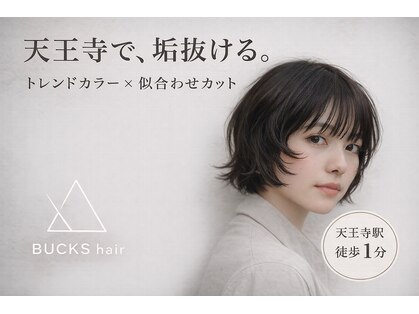 バックス(BUCKS)の写真