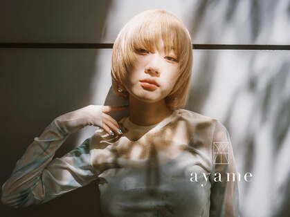 アヤメ バイ ジジ 宇都宮(ayame by Gigi)の写真