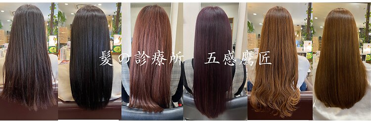 五感鷹匠 髪の診療所のサロンヘッダー