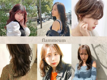 フラミューム 恵比寿(flammeum)の写真