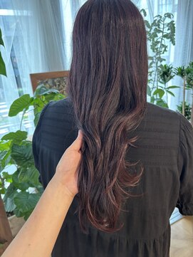 インビテーション(invitation) ダークピンク