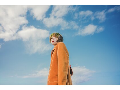 ニコルセンイ(nicoru seni)の写真