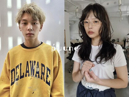 プーネ(puune)の写真