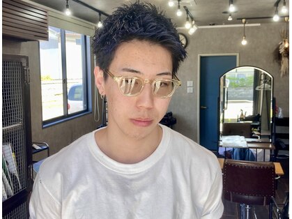 バブルス(BUBBLES)の写真