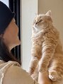 ジーナ セントラル銀座(Zina)&nbsp;もふもふの猫（サイベリアン）と暮らしてます♪