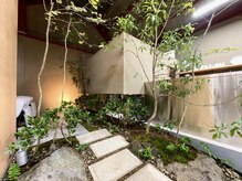 ヌー(nu)の雰囲気（植物と人間が呼応する、それは内面と外面を”自然”に両立させる）