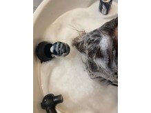 カオルヘアー(Kaoru hair)